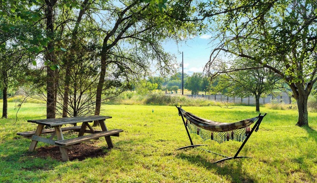 Pet-Friendly Marble Falls Home!