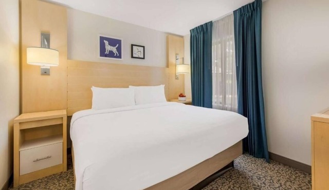 Pet-Friendly Suite Designed for Convenience Close to Charlotte's Top Spots