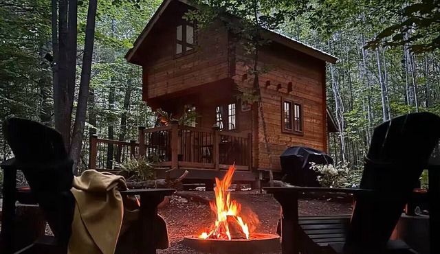 ↟ Private Off-Grid Nature Spa Retreat | Luxury Vista Cabin in Killaloe