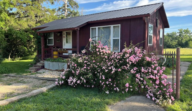 Quiet & charming cabin with AC near Hamilton