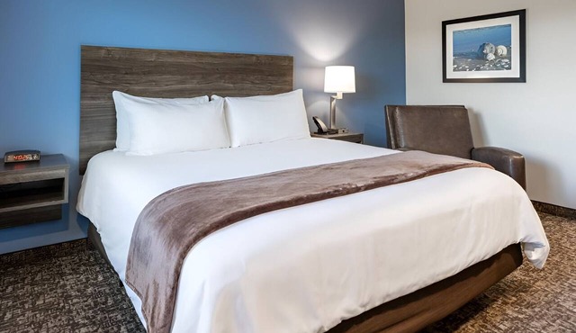 Quiet & Comfortable Room Ideal for Business or Leisure Travelers - Pet-Friendly! in Jacksonville