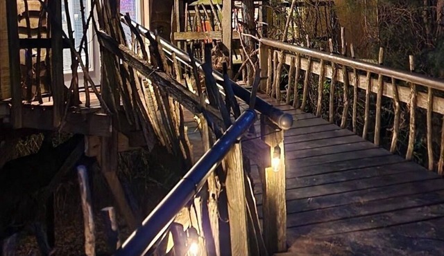 Relax amongst the trees in this beautiful romantic treehouse