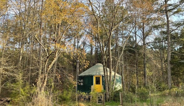 Relax in a Cozy, Skylit Yurt at a Farm Animal Sanctuary