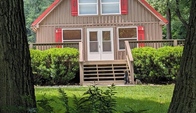 Secluded Mtn Cabin, 2 King Beds, Fire Pit, 11mi to ATV Park