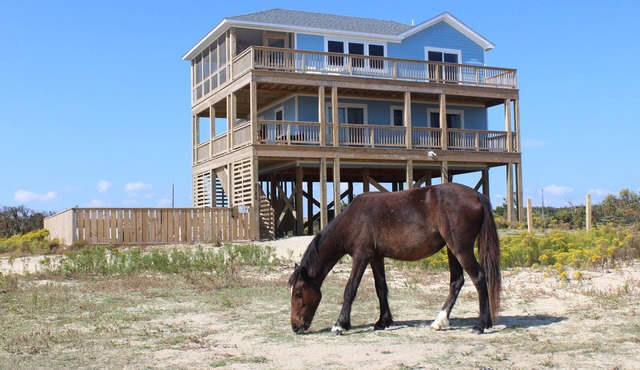 Semi-Oceanfront, Pool & Hot Tub, Wild Horses, Pets Welcome, 4x4 Beach