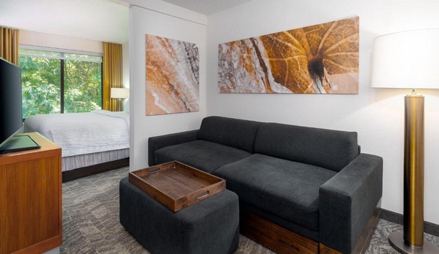 SpringHill Suites Asheville