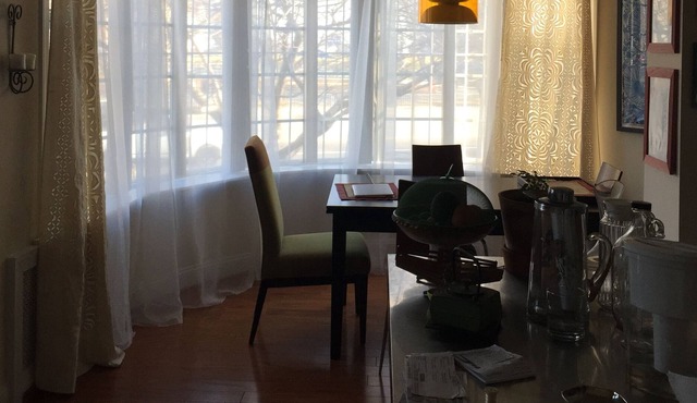 Sunlit and Central Apt in DC