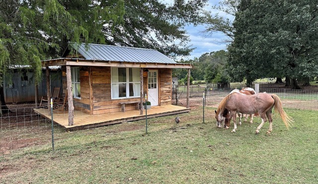 The Cottage at Flourish Farm - Experience serenity at this cozy farm getaway