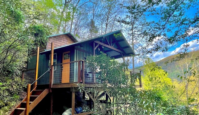The Roost - A Pet Friendly, Creekside Mountain Cabin in the Heart of Adventure!