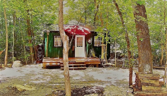The Watertree Tiny House at Twig City Farm!