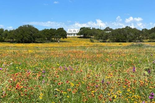 Tranquil Farmstead with Beautiful Views of the Country, Fire pit