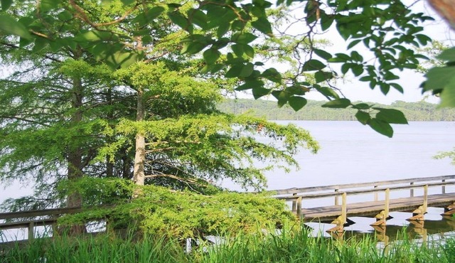 Tranquil Getaway - Fishing Haven