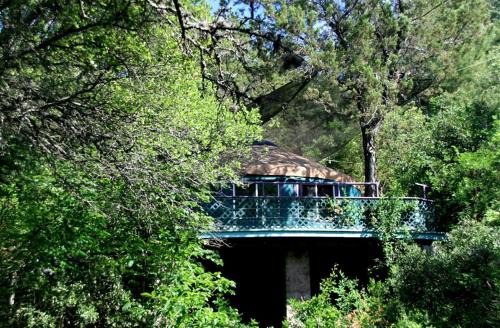 Tree House Yurt in Austin, Texas, Perfect for a Glamping Getaway