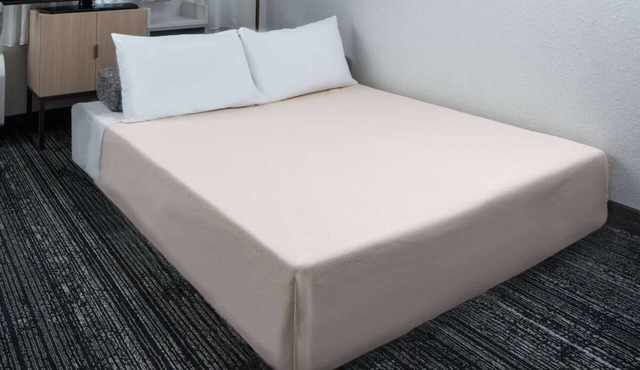 Two Comfortable 2BR Suites, Pet-friendly, Short Drive to The White House!