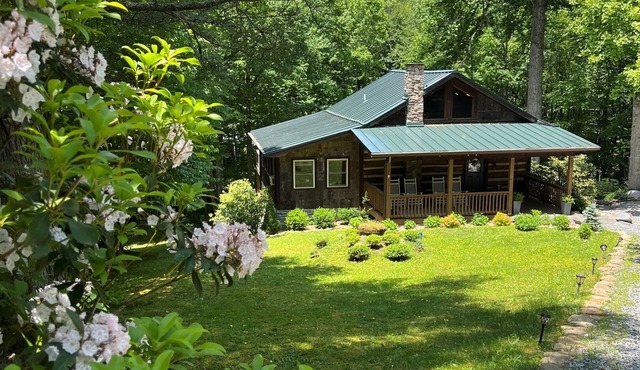 Walk to Price Lake | Hot Tub | Fire Pit | Dogs OK