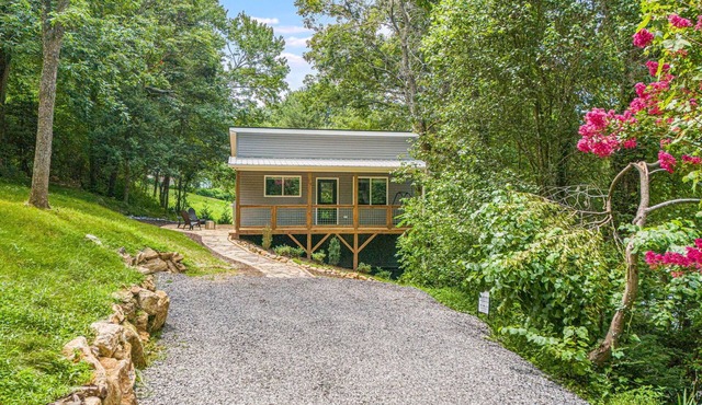 Welcome to the Blue Ridge Treehouse