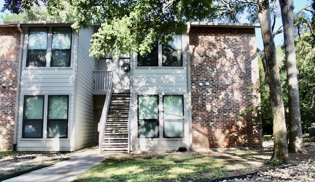 Welcome to your treehouse oasis in the city!