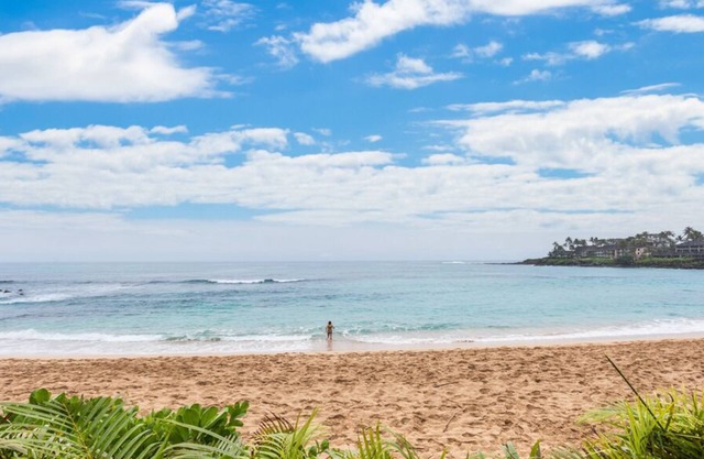 Aloha Condos, Napili Bay Resort, Condo 108, Beachfront