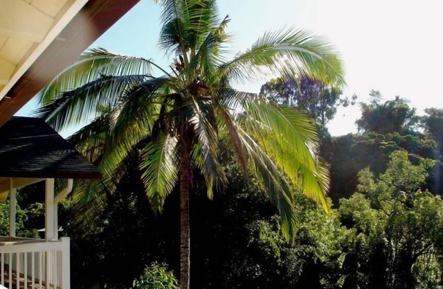 Bamboo Valley Inn 