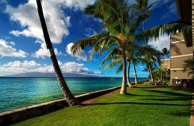 Deluxe Oceanfront Studio In Kahana!! Amazing Views, Ground Floor Unit #112