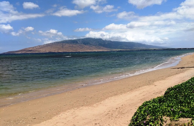 Maui Sunset 320A~ Remodeled, 2 BR, 2 BA Ocean View with Deluxe Kitchen