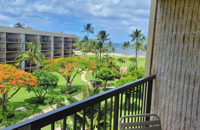 Maui Br Ocean 