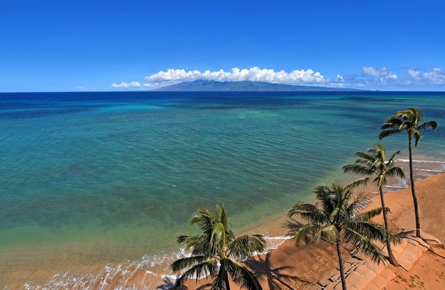 Ocean Front @ Great Price-8th Floor- Listen to Ocean from the Master Bedroom