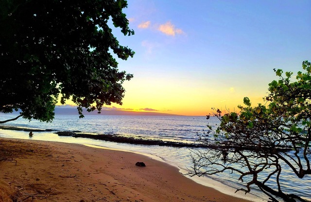 One bedroom Vacation Condo on West Maui - C2
