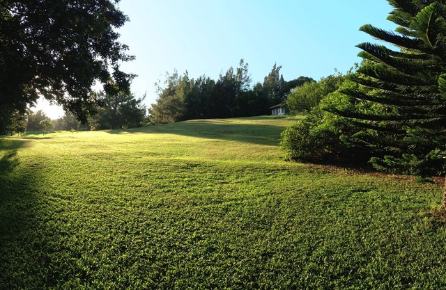 Peaceful & Private Studio - 12 Acre Hobby Organic Fruit Farm | Beach 10min