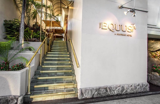 The Equus