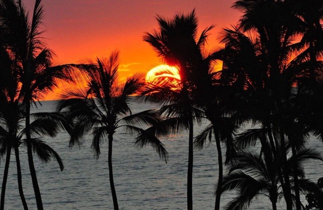Upscale Wailea Maui, Full AC, 1st Fl, Expansive Lanai, Pool & Walk to Beach