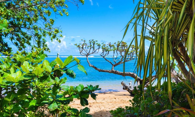 Kilauea Cottage | 158 m² Cabin ∙ 1 bedroom ∙ 4 guests
