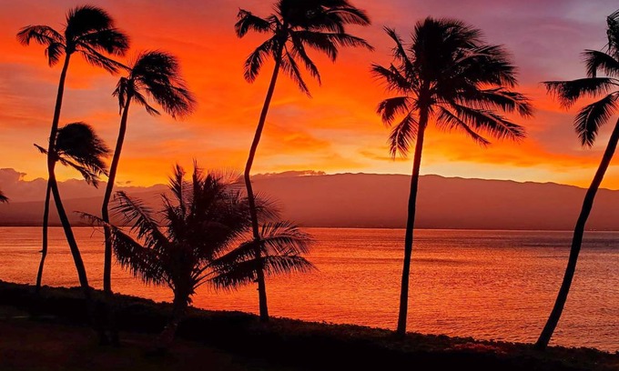 Maalaea Condo | 73 m² Condo ∙ 2 bedrooms ∙ 6 guests