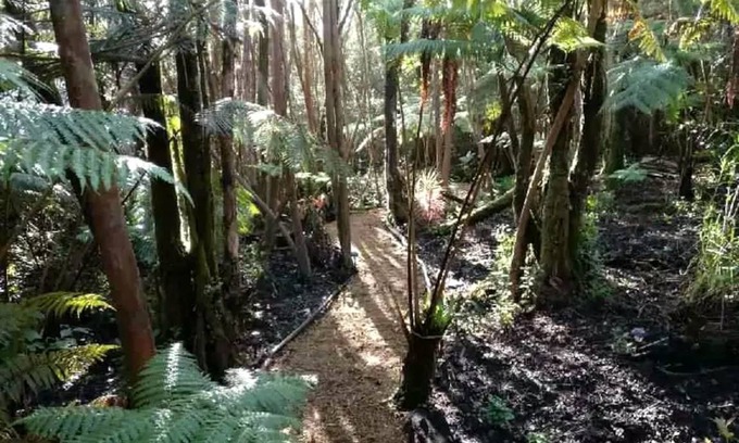 Glenwood Other | Camping ∙ 1 bedroom ∙ 2 guests