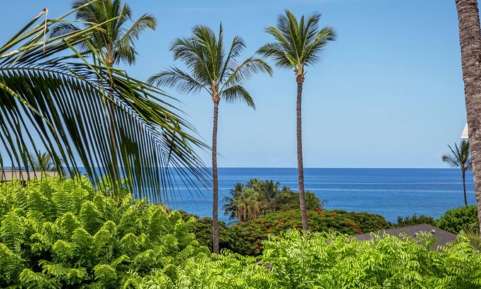 Kihei Apartment | Great place , Saturday to Saturday only Dec 20until Jan 3 left now