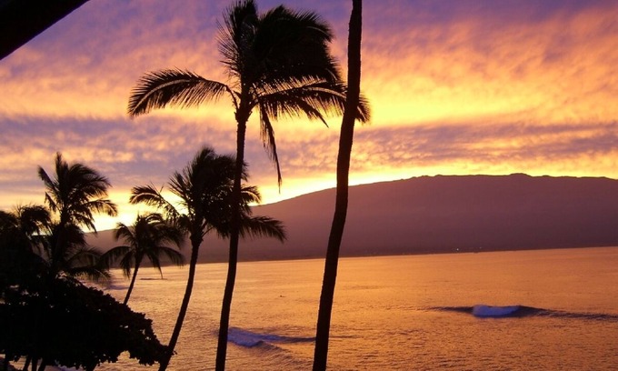 Maalaea Condo | OCEANFRONT - TWO OCEANVIEW bedrooms - 20 feet from water - Kanai a Nalu 401