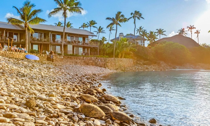Napili Condo | Recently remodeled 3 bedroom, snorkel in private cove, walk to top rated beaches (Unit 217)