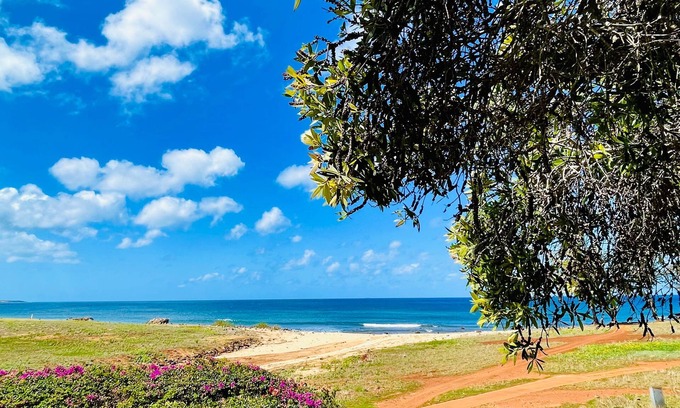 Maunaloa House | Spacious King studio in Paniolo Hale at Kepuhi Beach with amazing ocean views