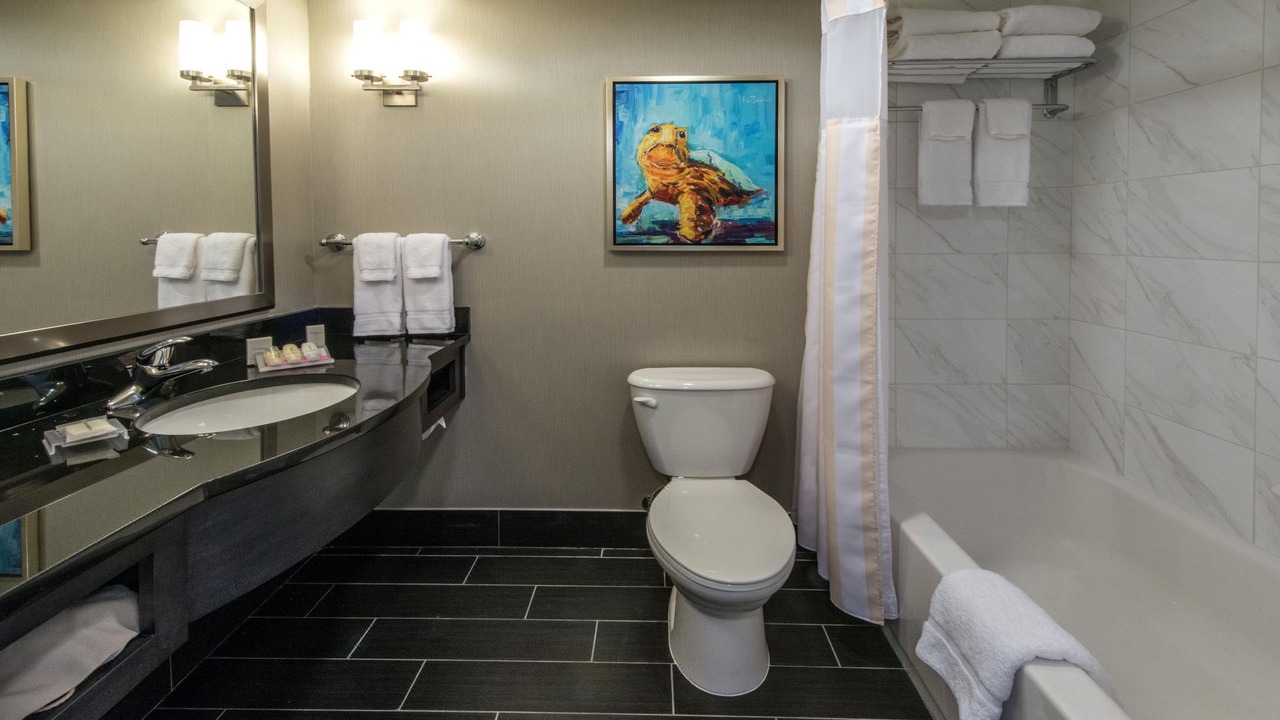 Photo of Bathroom in Downtown Charleston