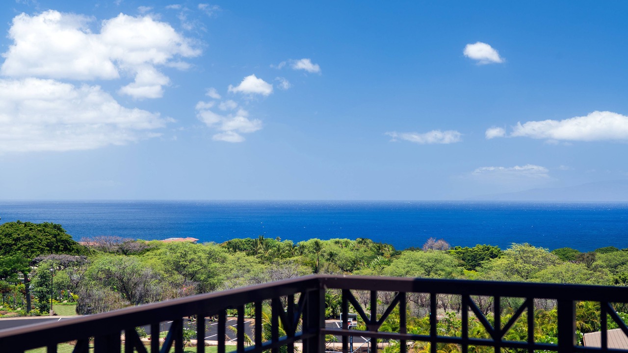 Photo of Others in Wailea