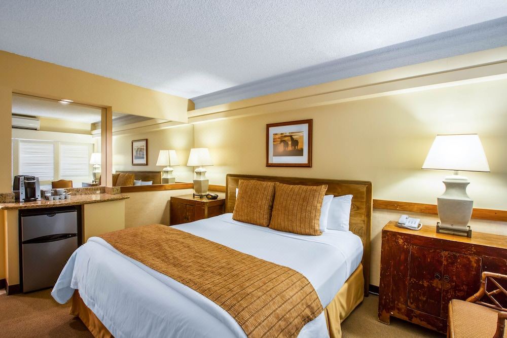 Photo of Bedroom in Waikiki