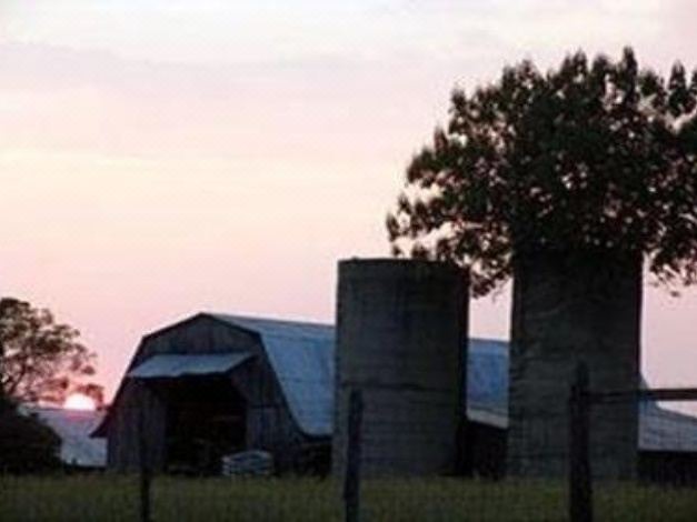 Photo of Buildings in Boger City