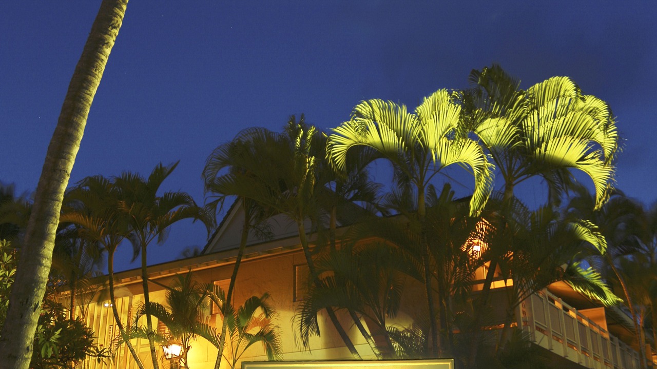 Photo of Buildings in Wailua