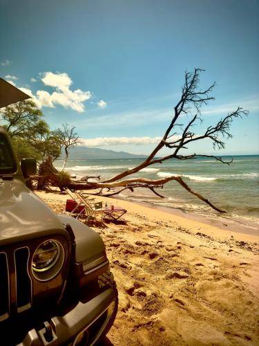 Photo of Others in Paia