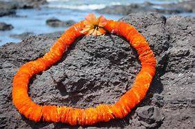 Photo of Others in Kahuku