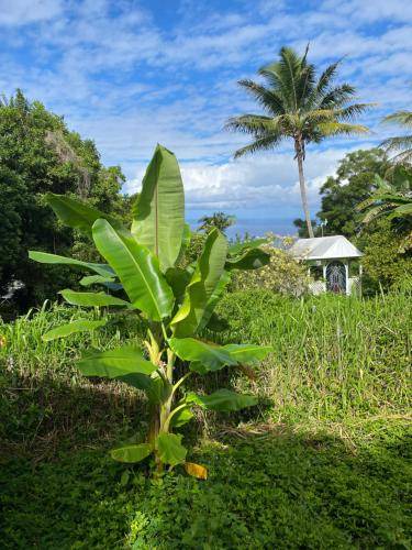Photo of Others in Honaunau-Napoopoo