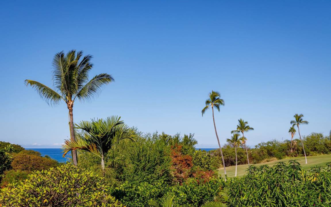 Photo of Others in Keauhou