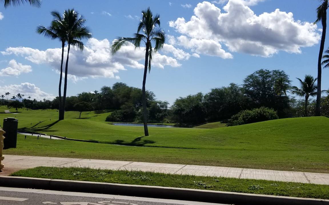 Photo of Others in Ko Olina