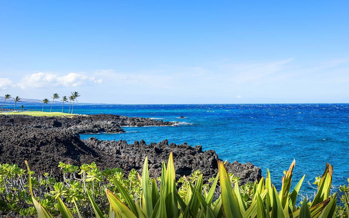 Photo of Others in Waikoloa