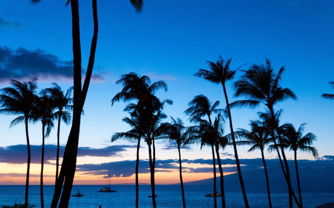 Photo of Others in Kaanapali